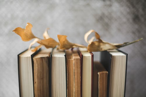 Free Brown Dried Leaf on Top of Vintage Books  Stock Photo