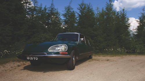 Black Car on Road Near Trees