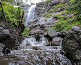 宁静的森林中，令人惊叹的瀑布倾泻而下，周围环绕着郁郁葱葱的绿色植物