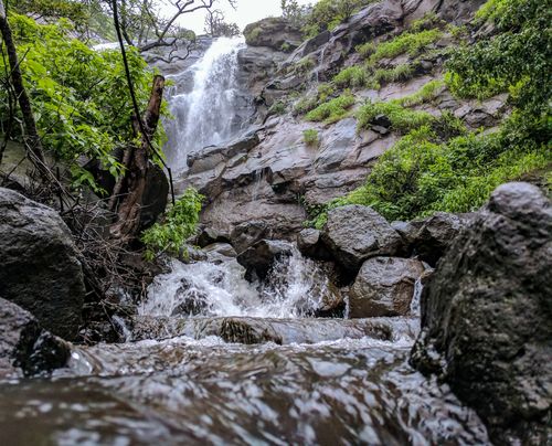 Free Breathtaking waterfall cascading over rocks surrounded by lush greenery in a serene forest. Stock Photo