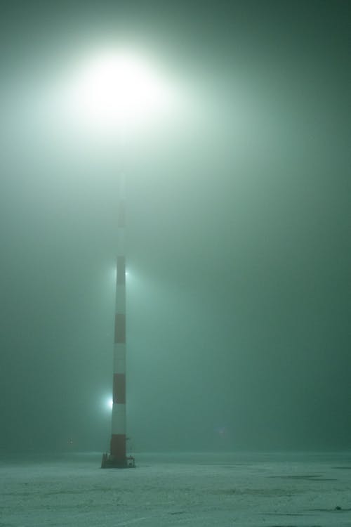 Darmowe zdjęcie z galerii z mglisty, mroźna pogoda, pionowy strzał