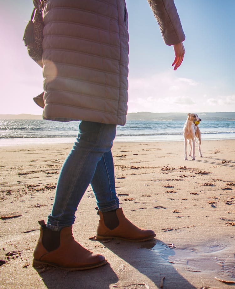 Person In Bubble Coat Walking On Beach Near Dog Fetching A Ball