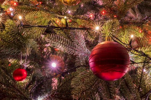 Free Beautiful close-up of a Christmas tree decorated with red baubles and twinkling lights, capturing the holiday spirit. Stock Photo
