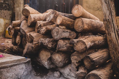 Pile of Wood Logs
