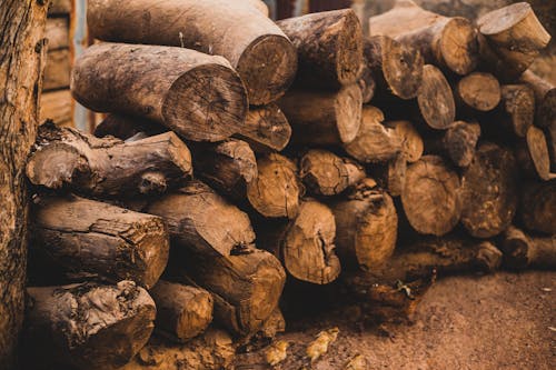 Free Brown Wood Logs on Brown Soil Stock Photo