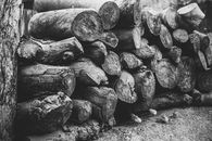 Grayscale Photo of Wood Logs