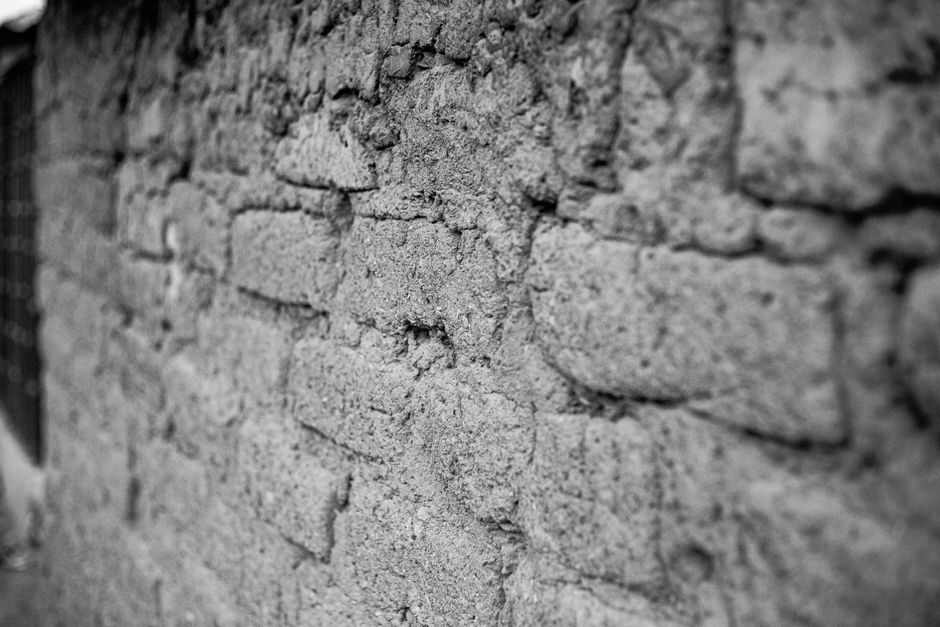 termite mud tubes on wall foundation termite mud tubes on wall foundation