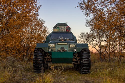 Symmetrical View of a Heavy Vehicle and Autumn Trees