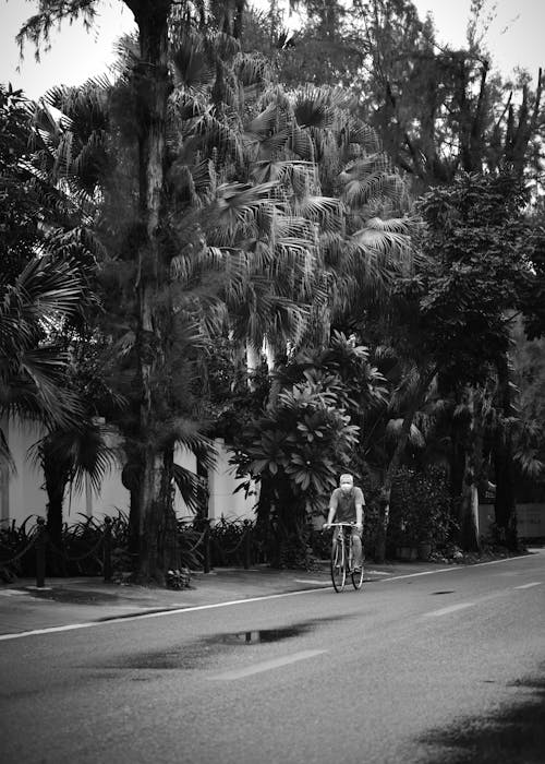 Grayscale Photo of Man Riding Bicycle on Road