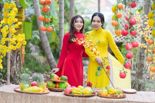 Free Two Vietnamese women in vibrant traditional áo dài amidst a colorful fruit display. Stock Photo