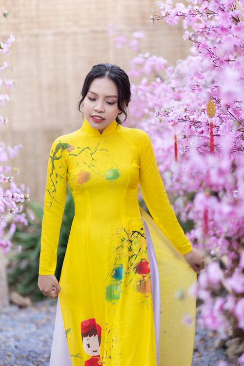 Gratis lagerfoto af asiatisk kvinde, attraktiv, dragende
