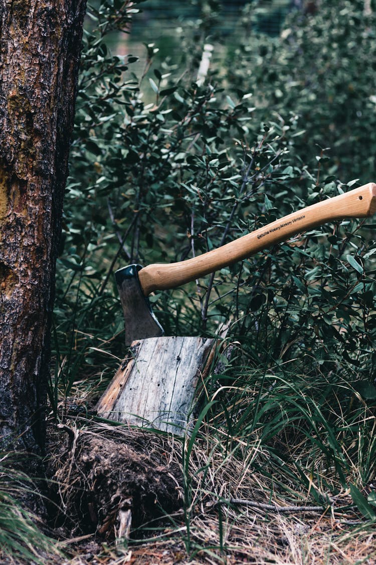 Axe On A Wooden Stump