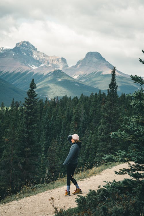 Free Person standing near Coniferous Trees Stock Photo