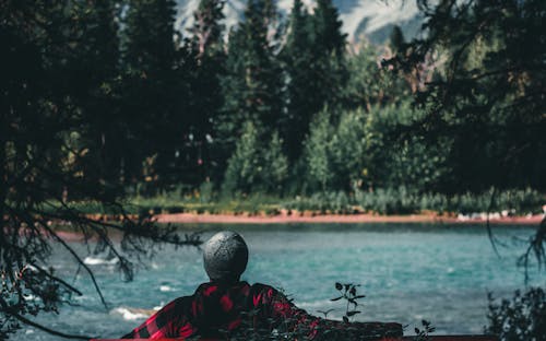 Free Backview of a Person sitting on Riverside Stock Photo