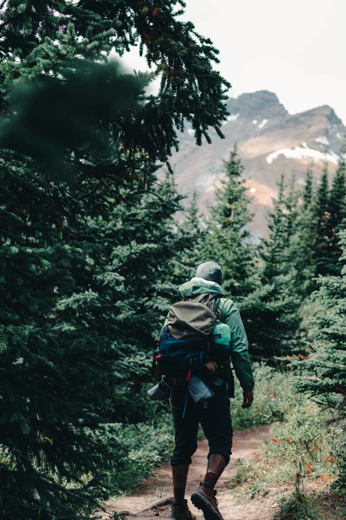Free A backpacker hiking through the lush forest trails of Jasper National Park. Stock Photo