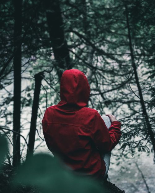 Free A person wearing a red hoodie sits in a lush green forest in Ottawa, capturing a serene moment. Stock Photo