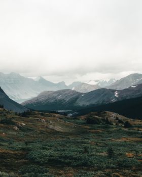 Stunning view of the Canadian Rockies in Jasper National Park, Alberta, Canada.