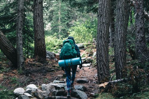 Free A hiker on a forest trail with a backpack and gear in British Columbia, Canada. Stock Photo