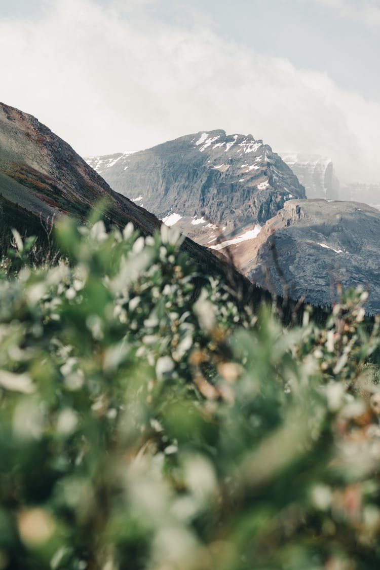 A Mountainside In Jasper National Park