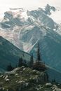 Green Pine Trees on Rocky Mountain