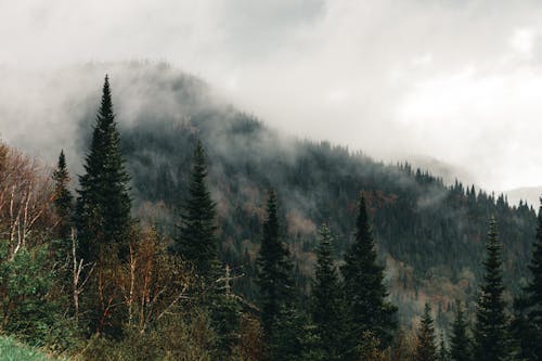 buğulu, çevre, dağ doruğu içeren Ücretsiz stok fotoğraf
