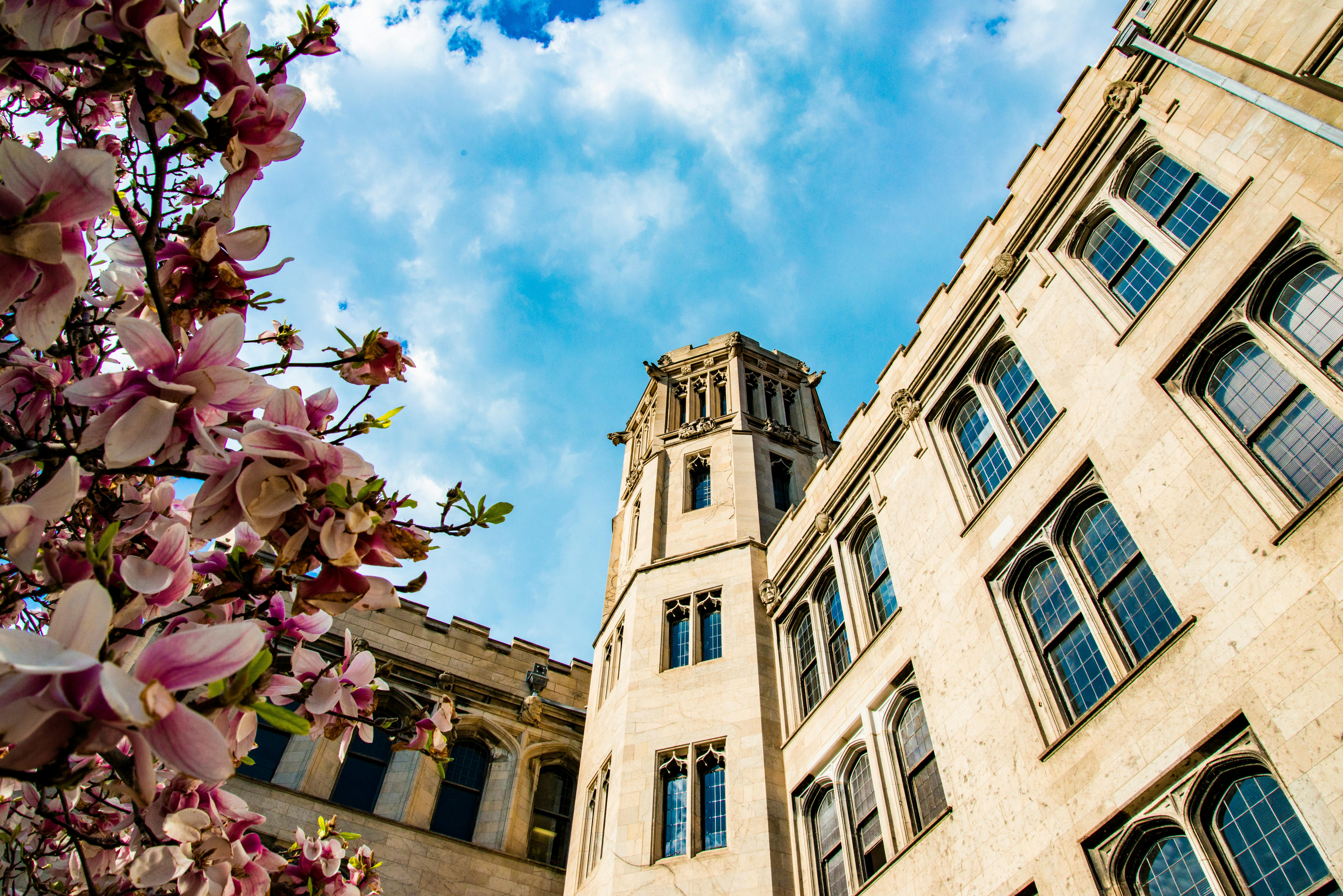 Cornell introduces campus-wide career development model to connect students more directly to opportunity — Photo by Dan Fuhrm