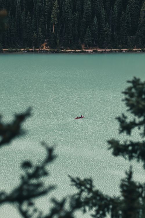 Free Scenic aerial shot of a canoe on a calm lake surrounded by dense forest in Alberta, Canada. Stock Photo