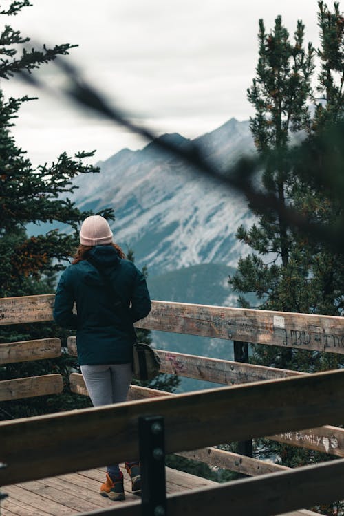 Free Backview of Person on a Deck  Stock Photo