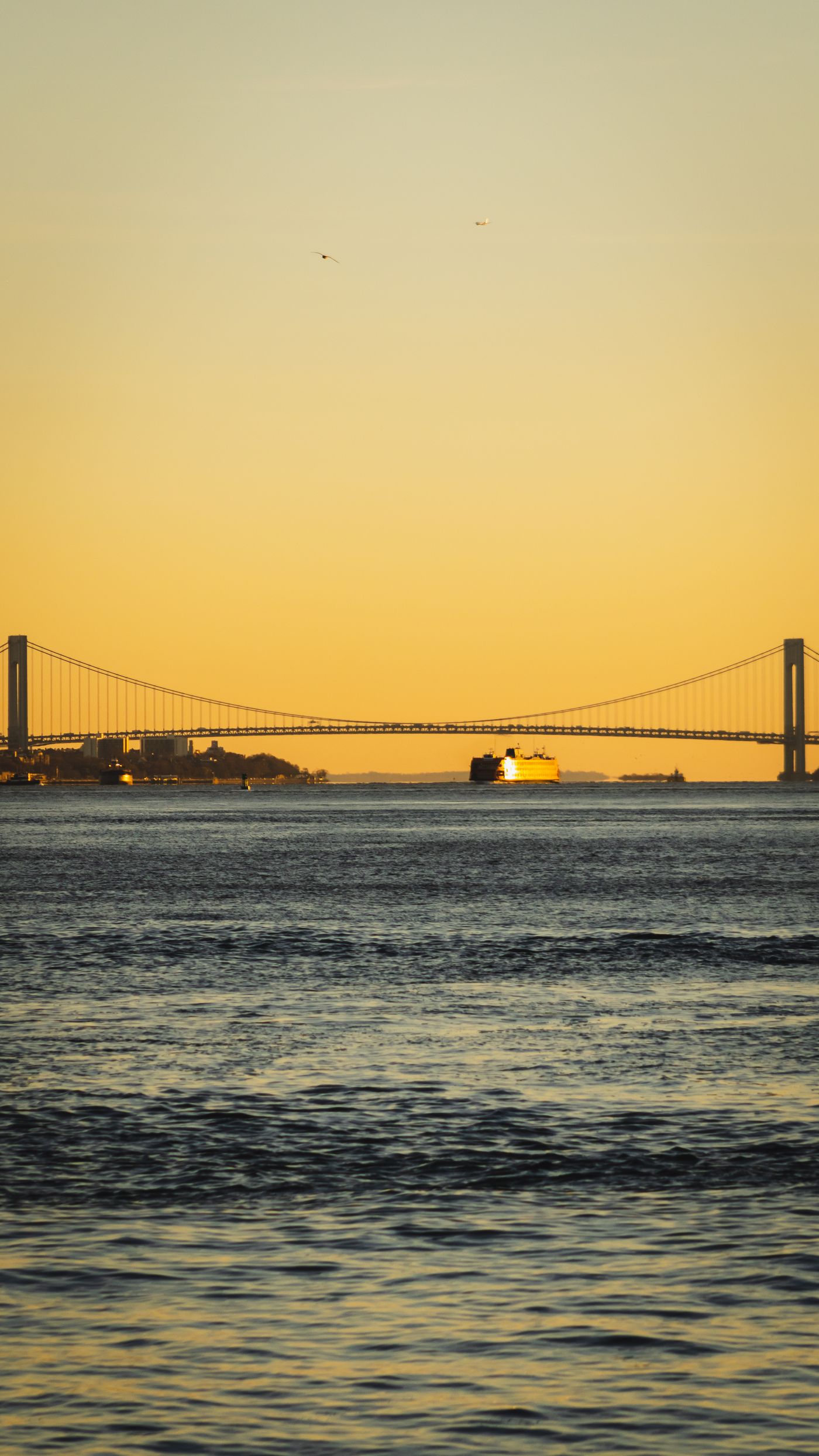 Contact Island Ride — Staten Island cab service Verrazzano-Narrows Bridge at sunset with Staten Island Ferry — contact Island Ride for local cab service, airport rides, and out-of-town travel across Staten Island