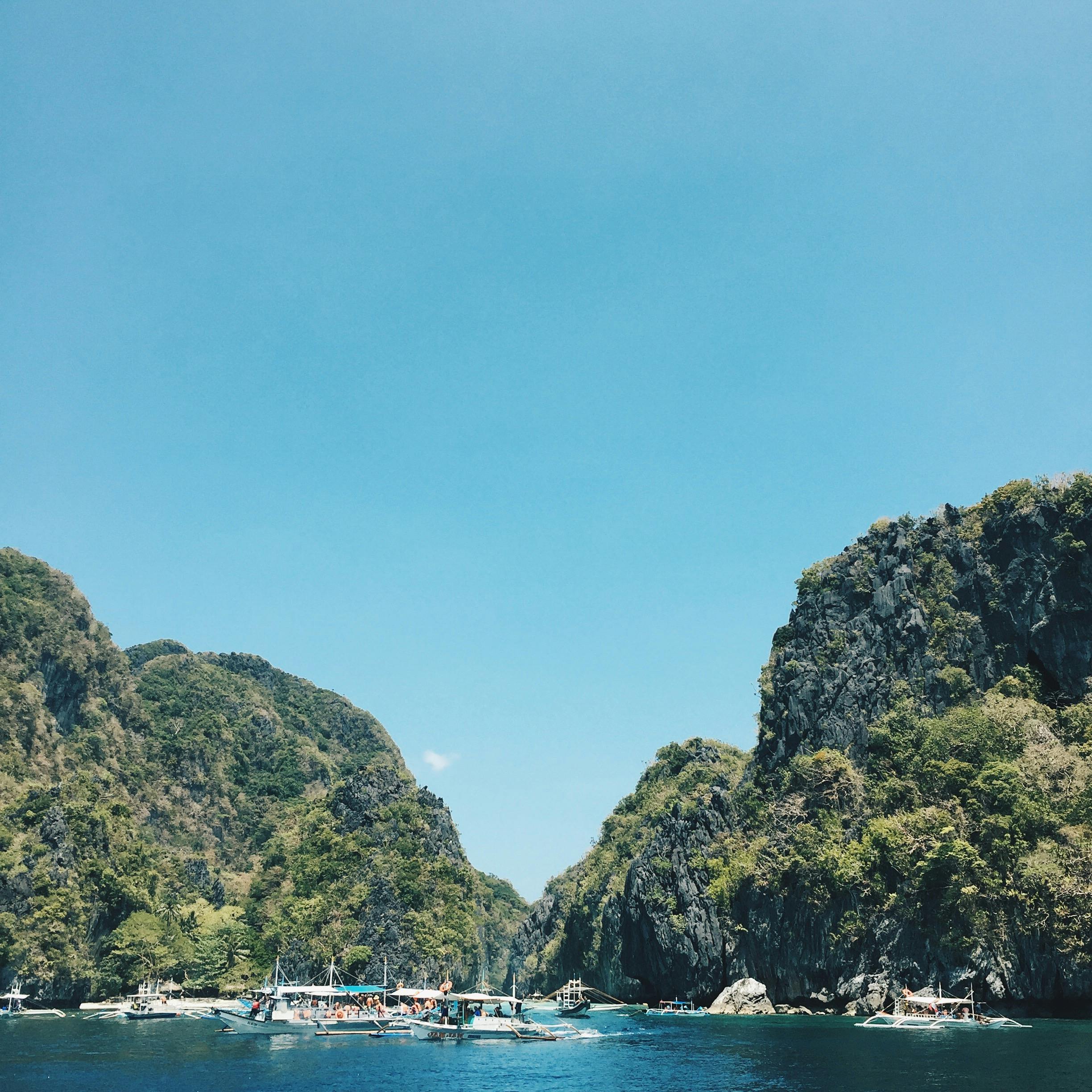 photo of boat near trees