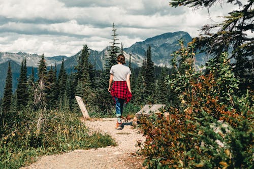 Free Backview of Person on a Dirt Pathway  Stock Photo