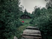 Brown Wooden House Near Green Trees