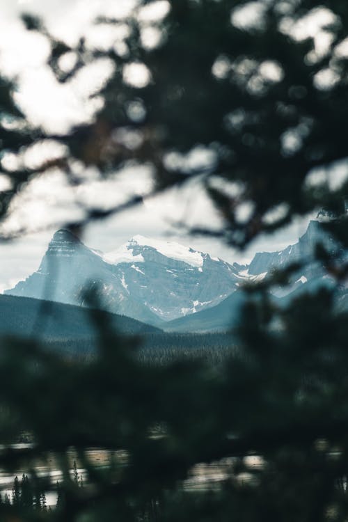 View of Snow Capped Mountain