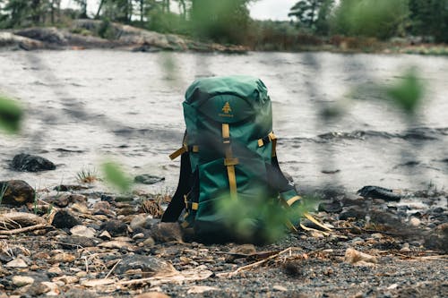 Free Backview of a Backpacker  Stock Photo