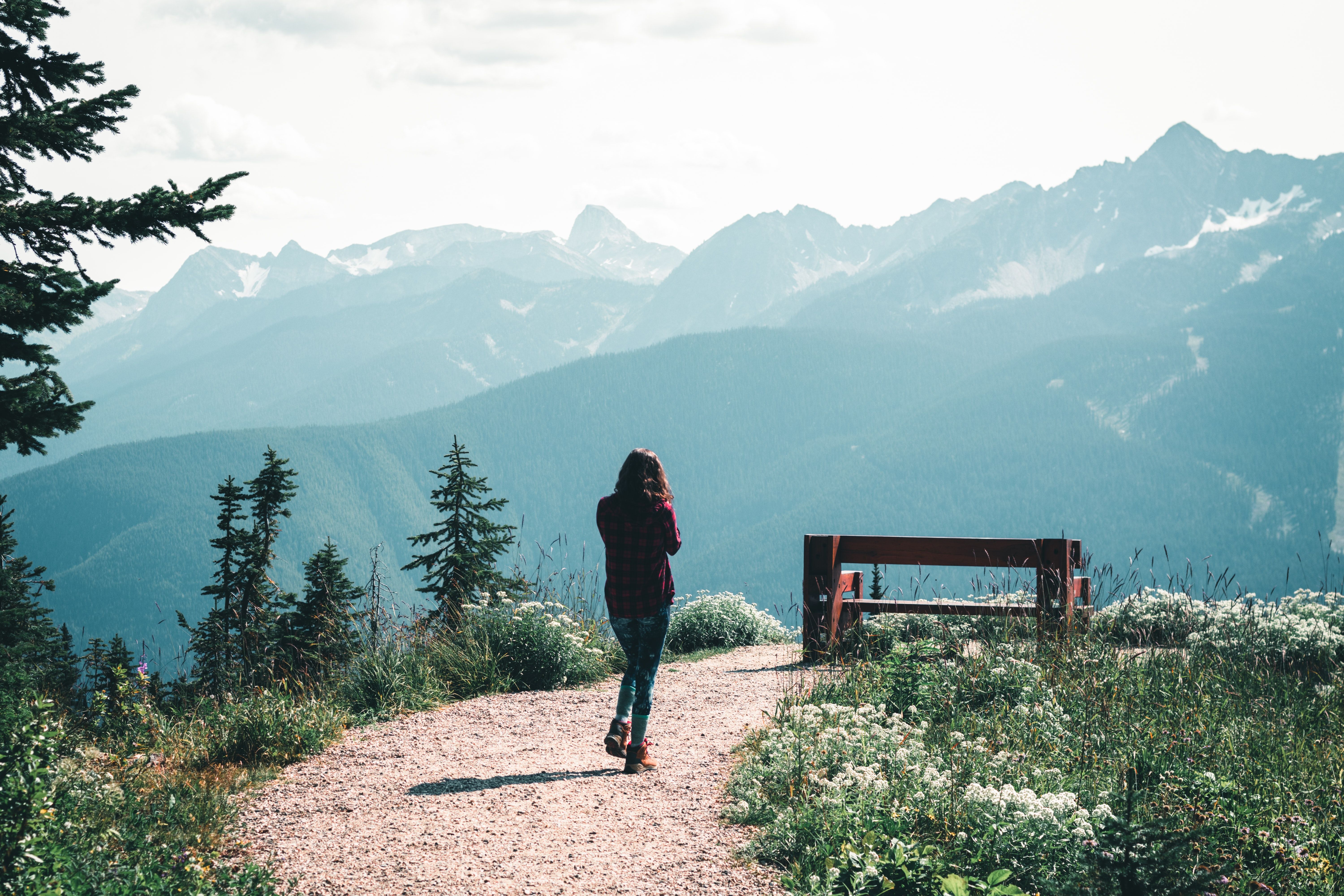 Columbia opens third outdoor fitness court at Rosewood Park — Photo by Ali Kazal on Pexels