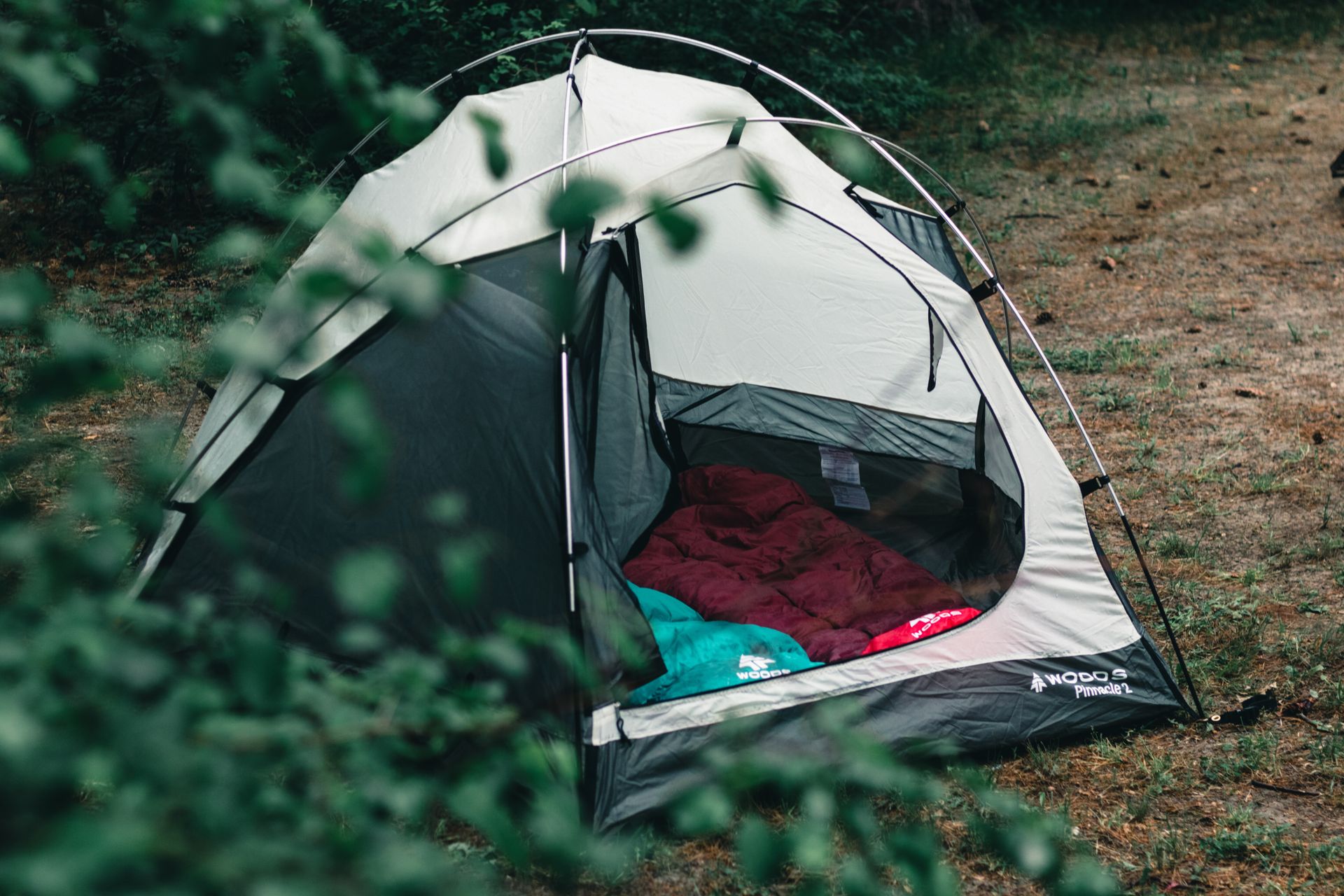 Sleeping bags in forest tent