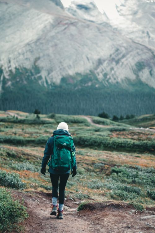 Free A lone backpacker explores lush trails in Jasper, Alberta with majestic mountains in the background, showcasing outdoor adventure. Stock Photo