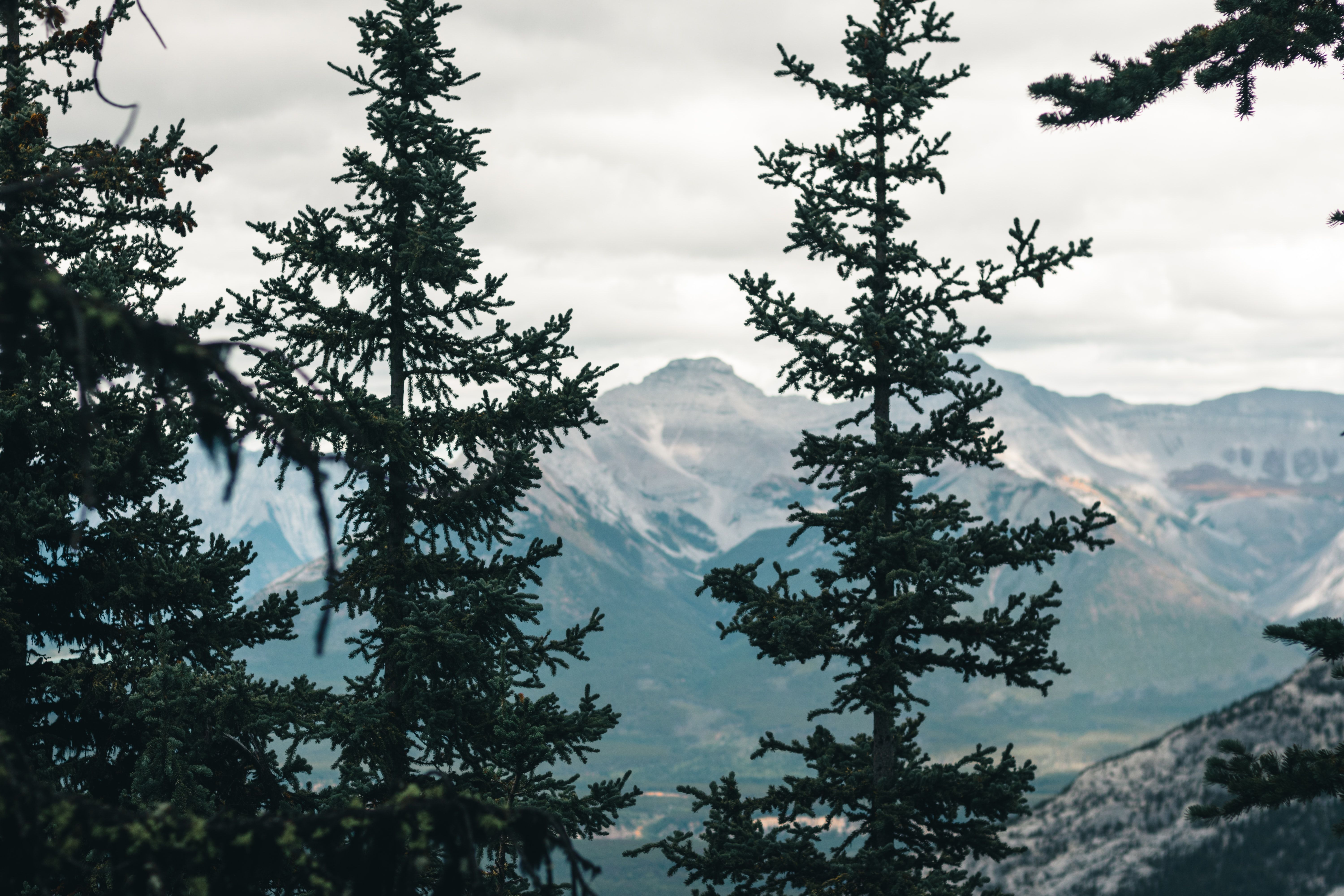 Green Trees Near Mountain Under White Clouds · Free Stock Photo