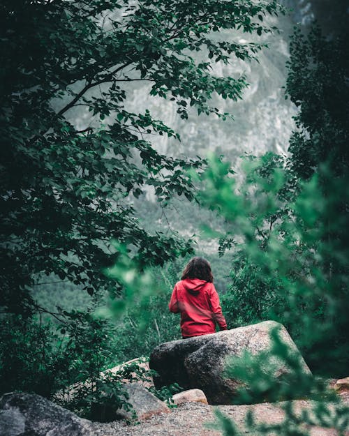 Free A Woman in Red Hoodie Walking in the Forest Stock Photo