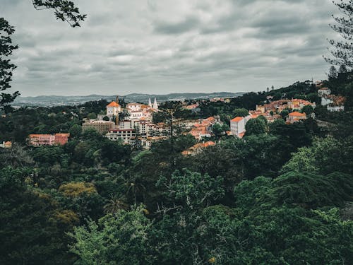 A Green Trees Near City Buildings Under the Cloudy Sky