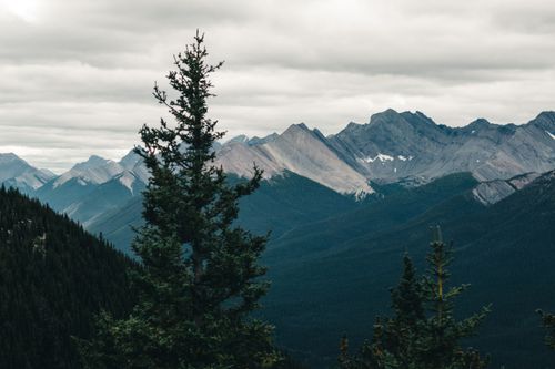 Free Dramatic view of the Canadian Rockies with evergreen trees in the foreground under a cloudy sky. Stock Photo
