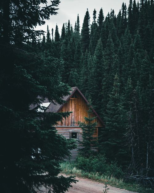 Free A wooden cabin surrounded by dense forest trees in Quebec, capturing a serene rural landscape. Stock Photo