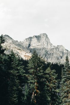 Majestic view of rocky mountain peak and lush green trees in Field, British Columbia.