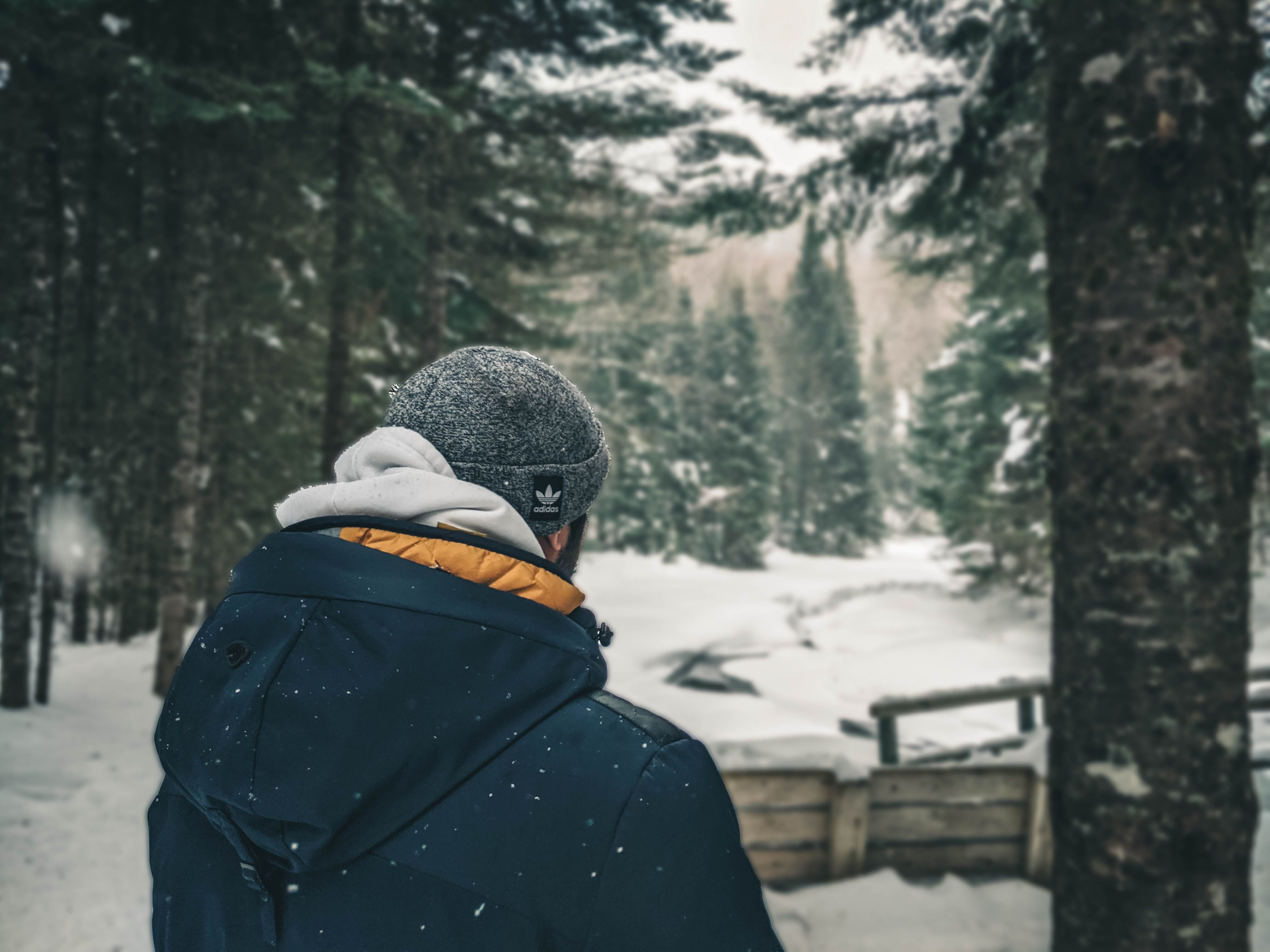 Back View of a Man in a Snowy Forest · Free Stock Photo