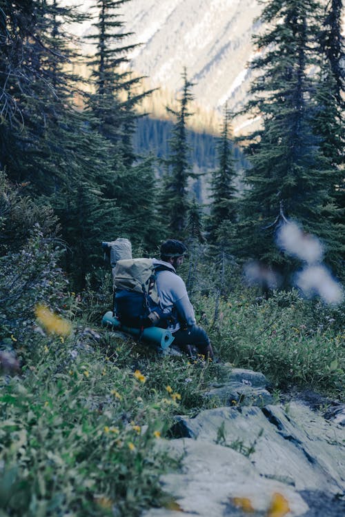 Gratis lagerfoto af Backpacker, bjerg, Camping