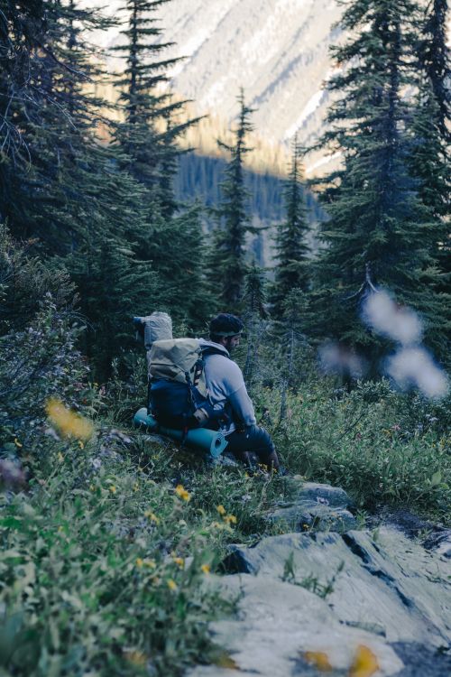 Free A backpacker seated in a lush forest in British Columbia, enjoying the wilderness. Stock Photo