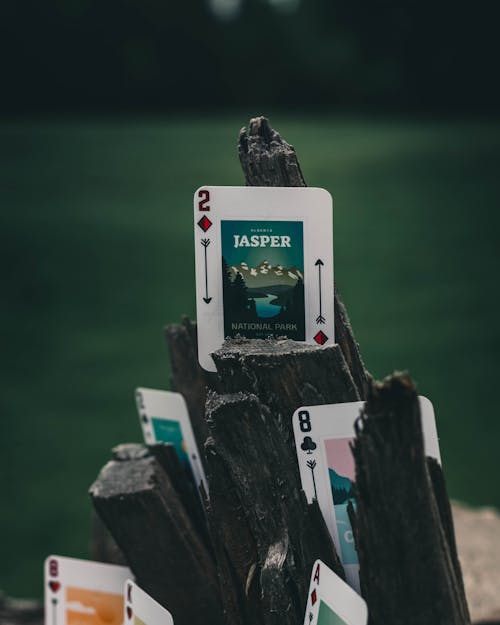 A Playing Cards on the Woods