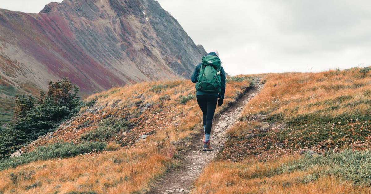 Comment Préparer une Randonnée en Montagne
