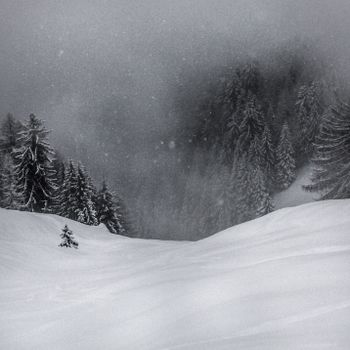 A calming winter scene featuring snow-covered trees and a tranquil mountainside.