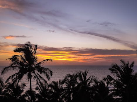 Silhouette of palm trees against a vibrant sunset over the ocean, creating a serene tropical scenery.